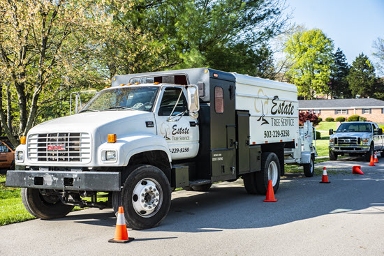 Estate Tree Service work truck