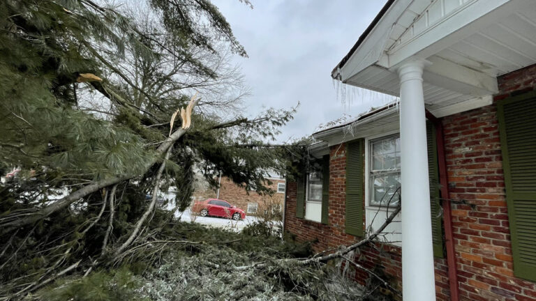 Estate Tree Service job site documentation