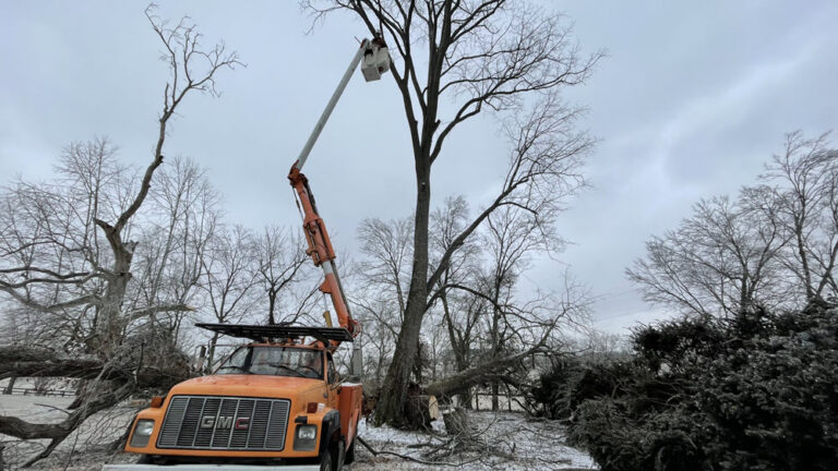 Estate Tree Service job site documentation