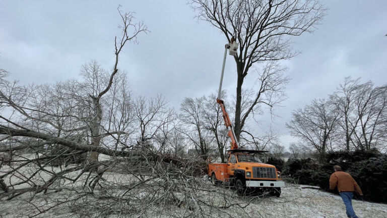 Estate Tree Service job site documentation