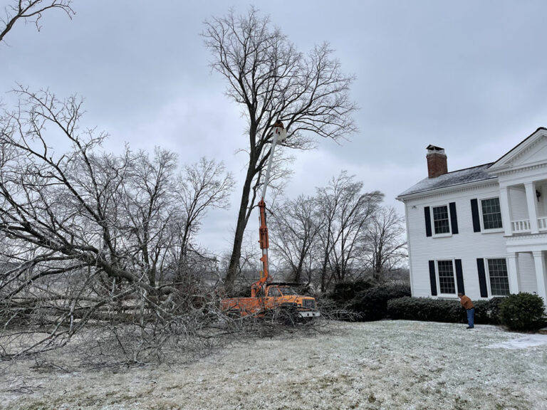 Estate Tree Service job site documentation