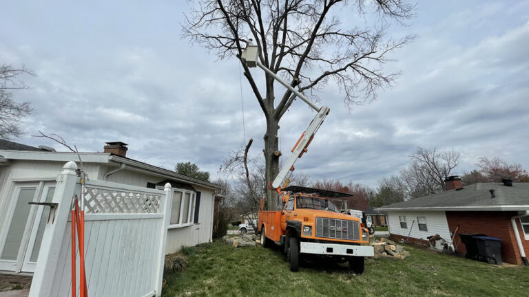 Estate Tree Service job site documentation