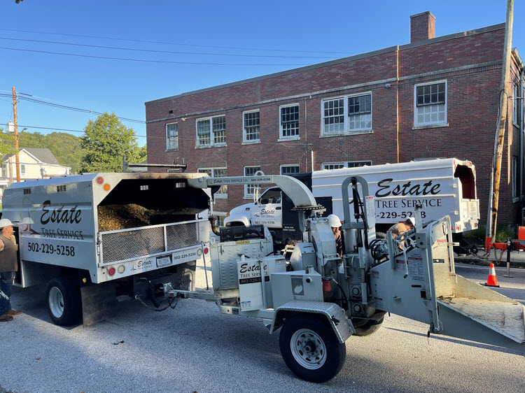 Estate Tree Service job site documentation