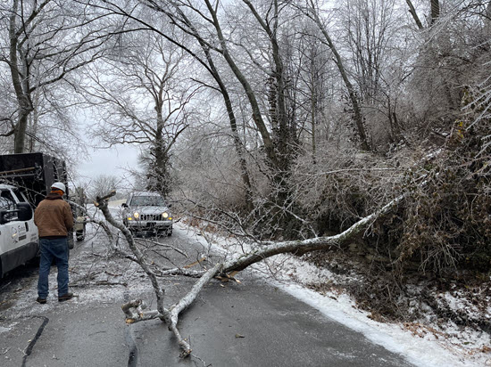 Road blocked by fallen tree after winter storm