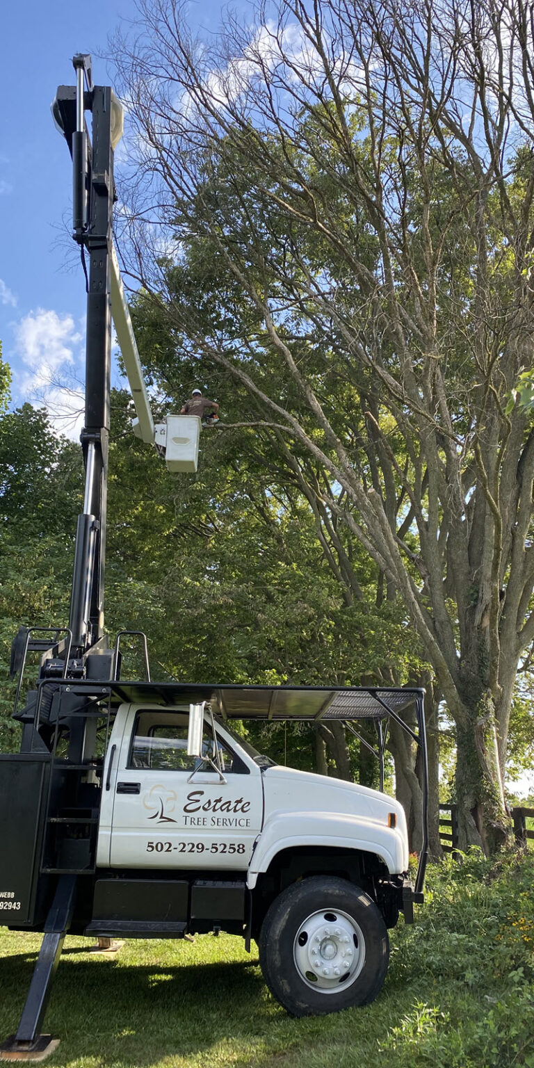 Estate Tree Service bucket truck
