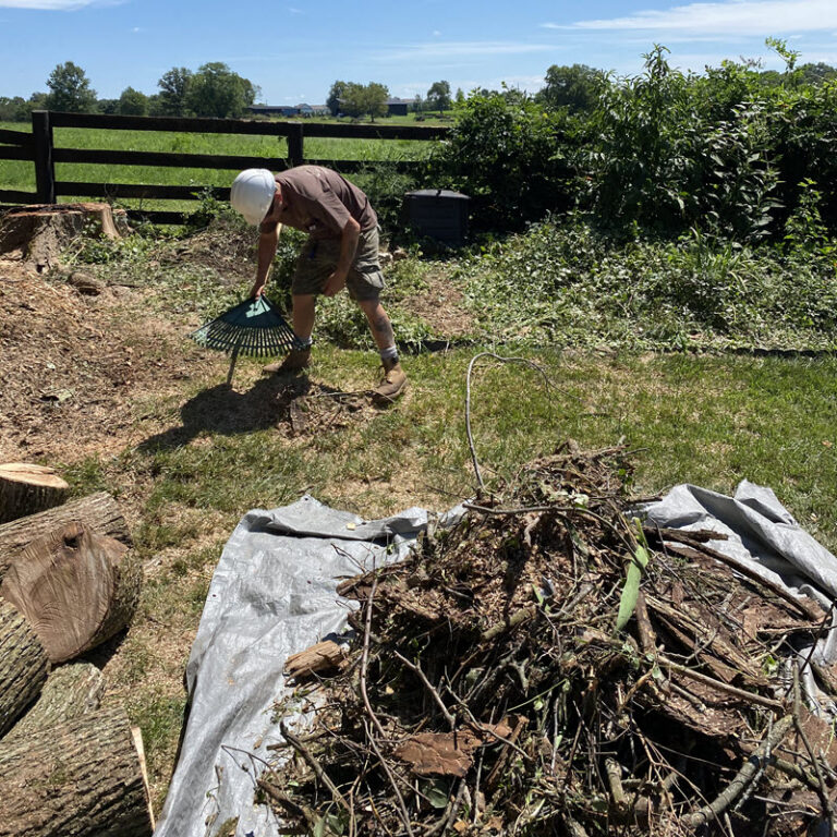 Estate Tree Service cleaning up after storm damage