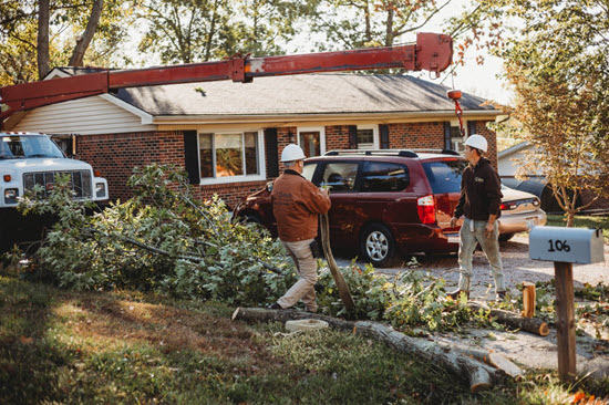 Crane positioned in yard for tree removal