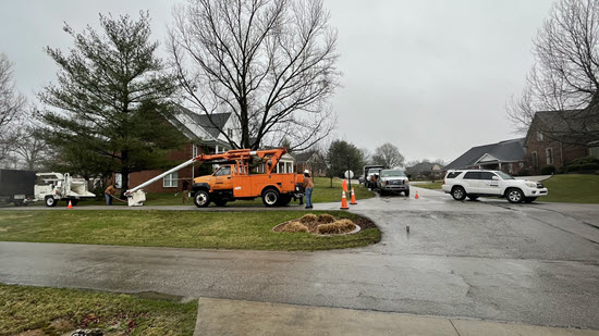 Tree service work at Two Creeks property